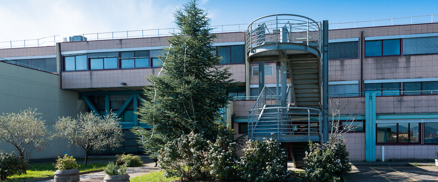 Università di Pisa
